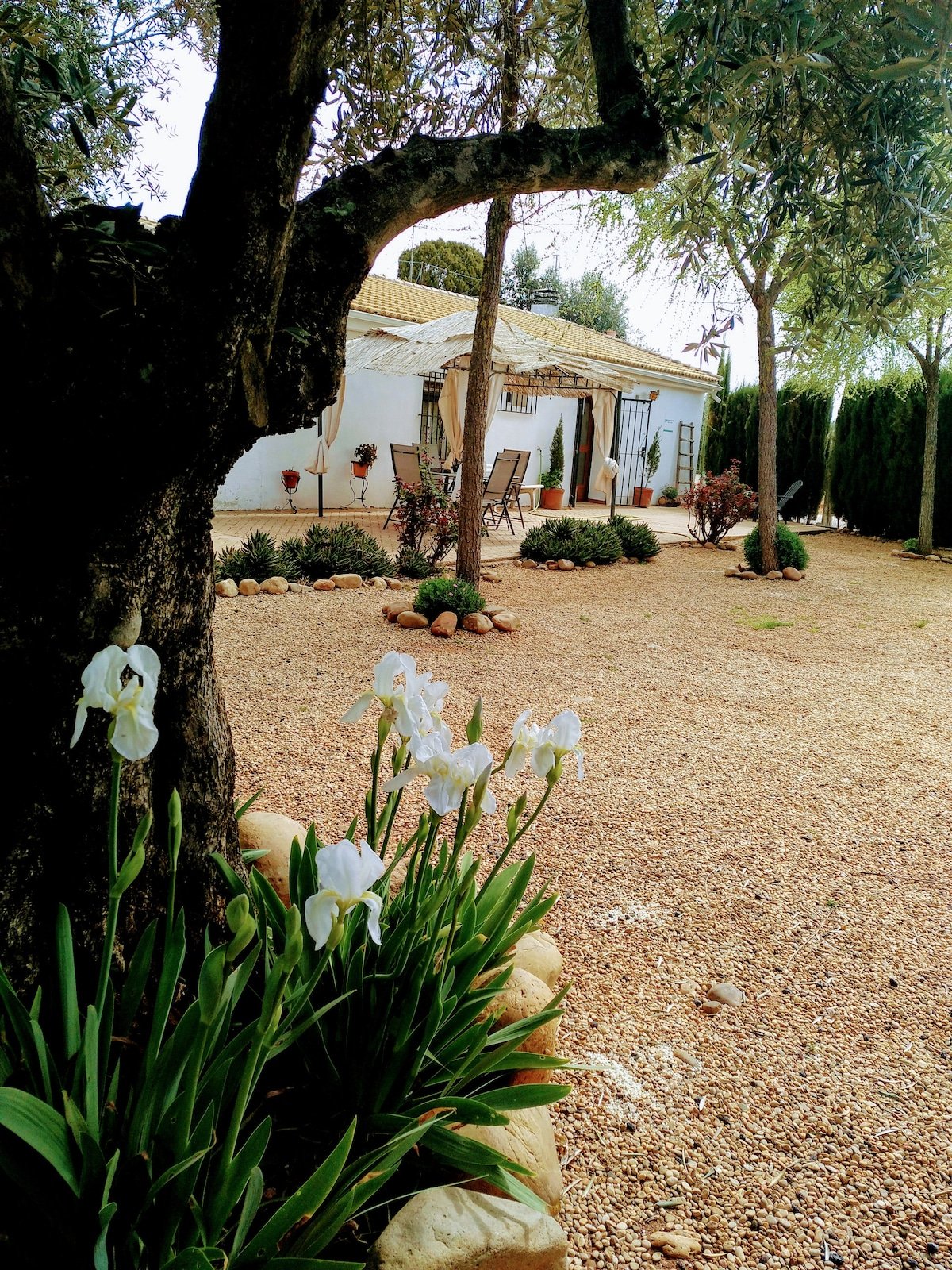 Casa del Abuelo José  Marmolejo