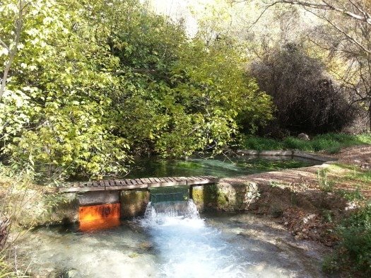 Cazorla-Alcon, Apartamento Lavanda