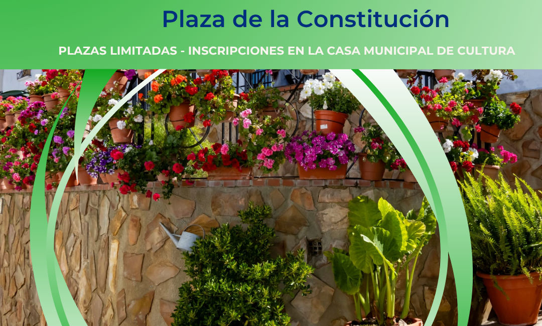 Visita guiada a fachadas del 26 Certamen de Embellecimiento