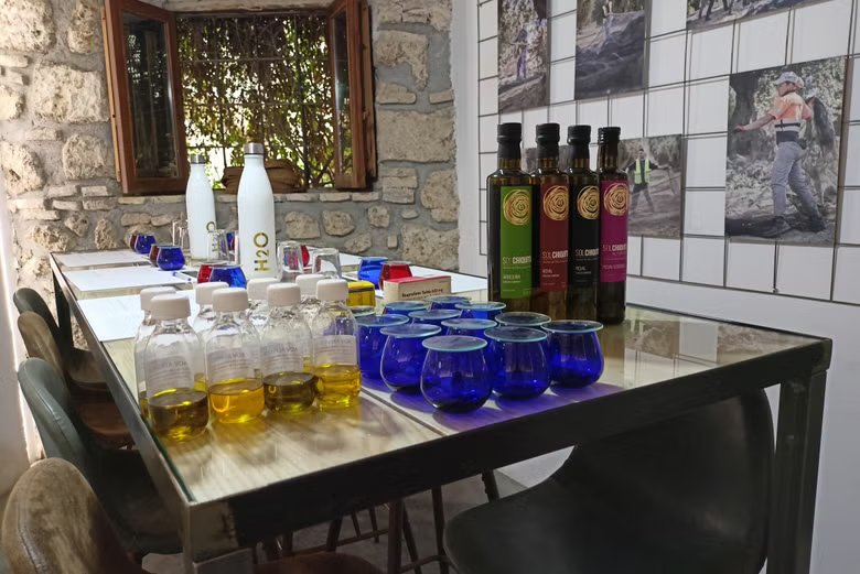 Cata de aceite de oliva en Cazorla
