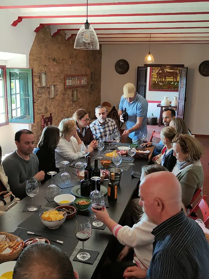 Cata de vinos entre viñedos en territorio del lince en Andújar