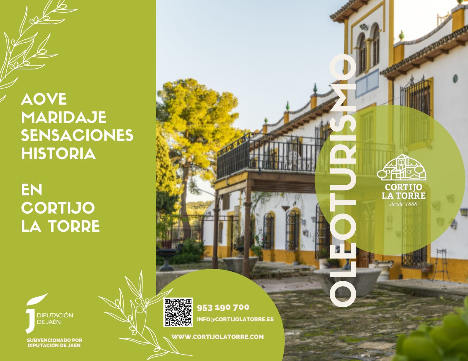 Oleoturismo en Cortijo La Torre: cata de AOVE en el cortijo del general Serrano en Arjona