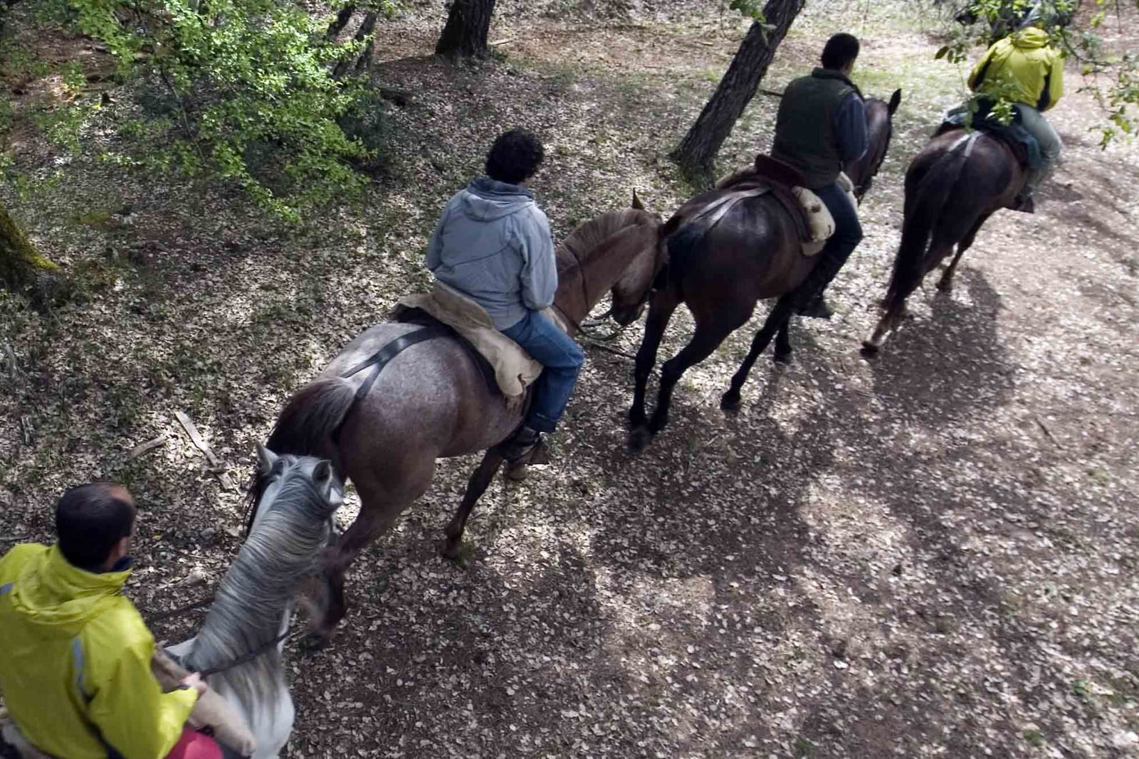 Paseo a caballo por el Parque Natural de Cazorla