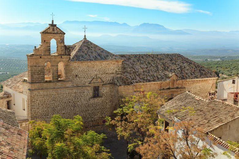 Visita a un olivar + Cata de aceite