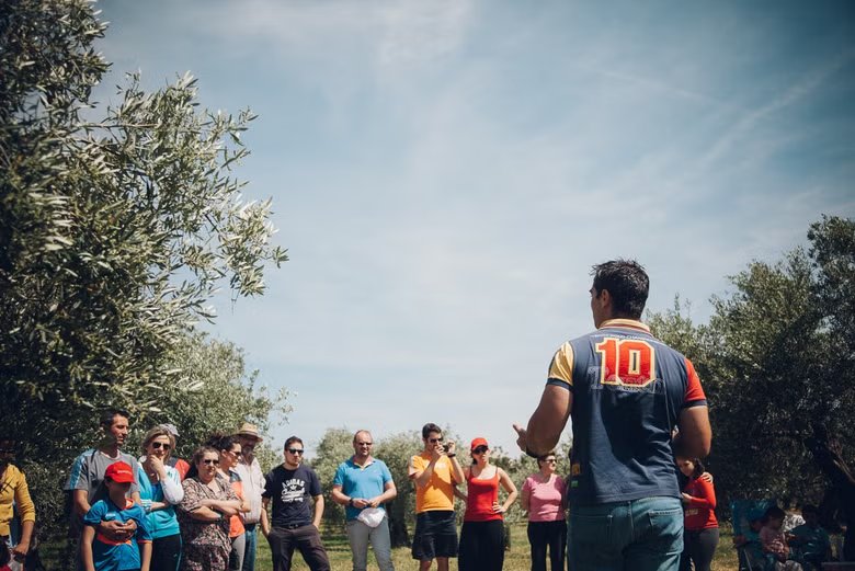 Visita a un olivar ecológico + Cata de aceite