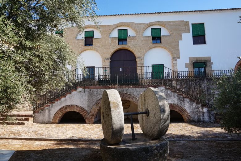 Visita guiada por el Museo del Olivo + Cata de aceites
