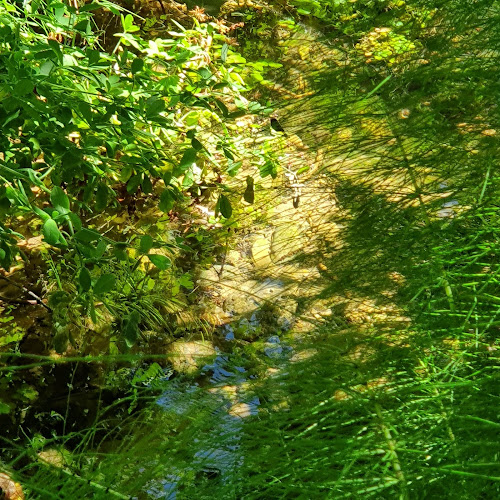 Arroyo del Ojanco