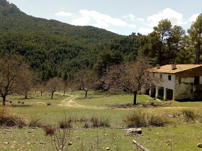 Aserradero de Tus