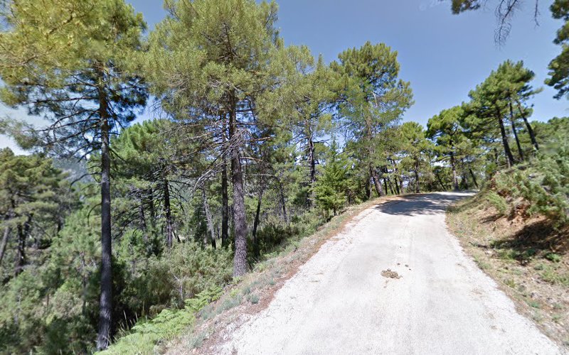 Carretera Transversal De Las Villas