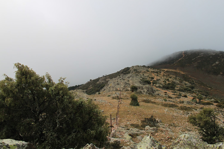 Cerro de la Estrella