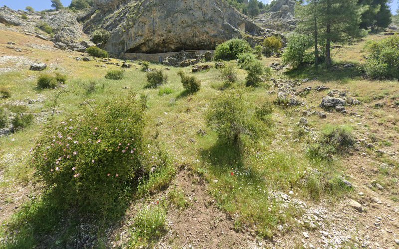 Cueva del Nacimiento