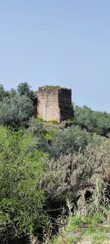 El Molinillo