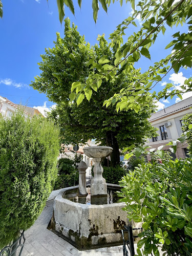 FUENTE PLAZA DEL CARMEN