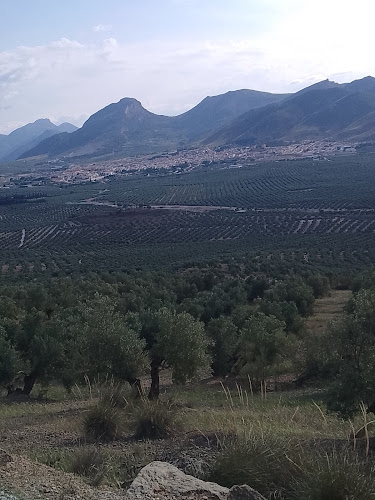 Fuente Vieja