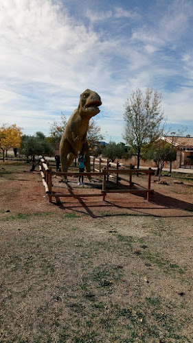 Huellas de Dinosaurio