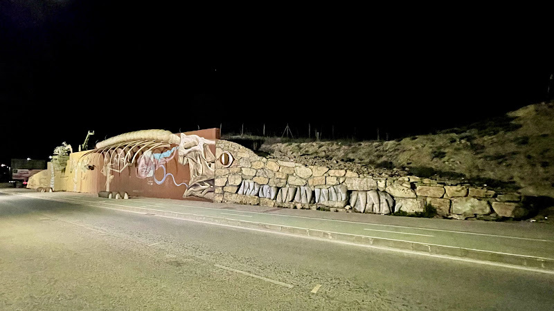 Lagarto de piedra