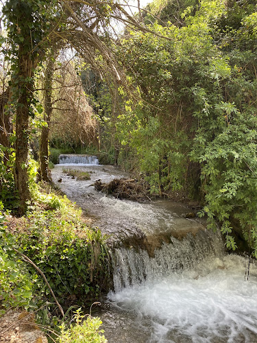 Paseo de los Jilgueros