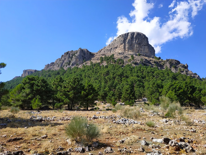 Peña Cambrón