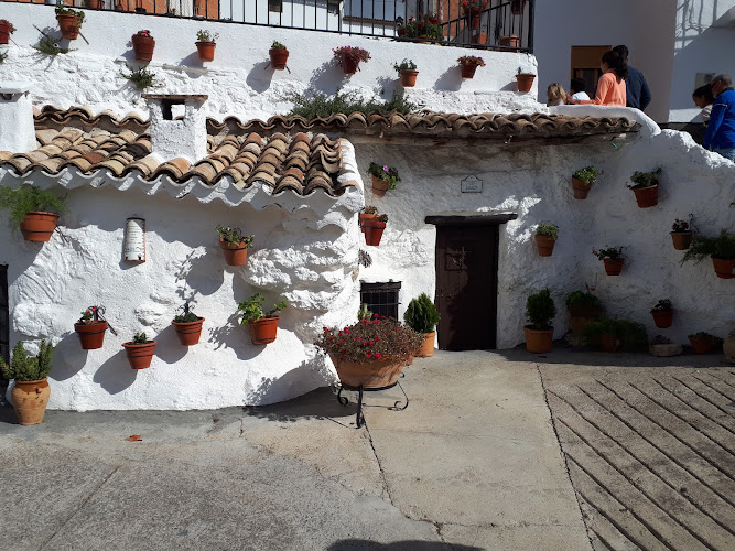 Plaza los Toros