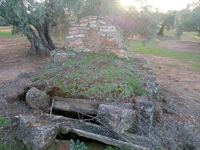 Pozo antiguo