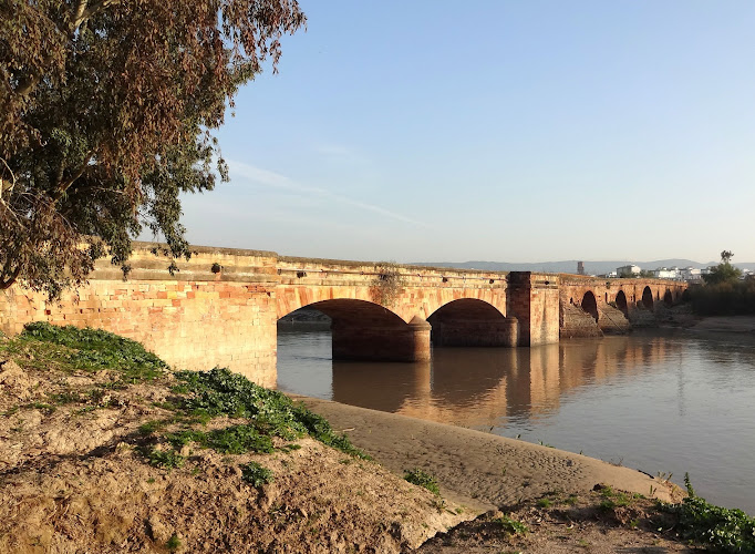 Puente Romano