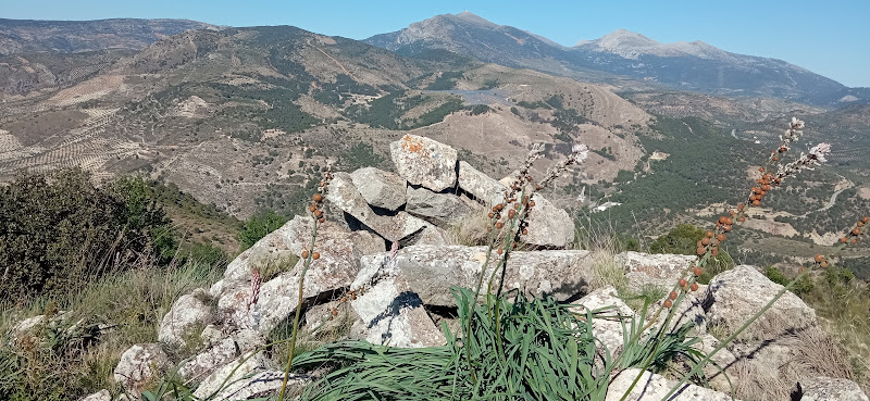 Torre de la Estrella